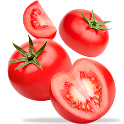 Firezza Pizza Franchise